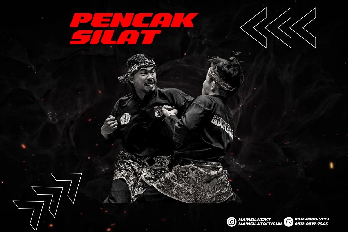 Read more about the article APA ITU PENCAK SILAT?